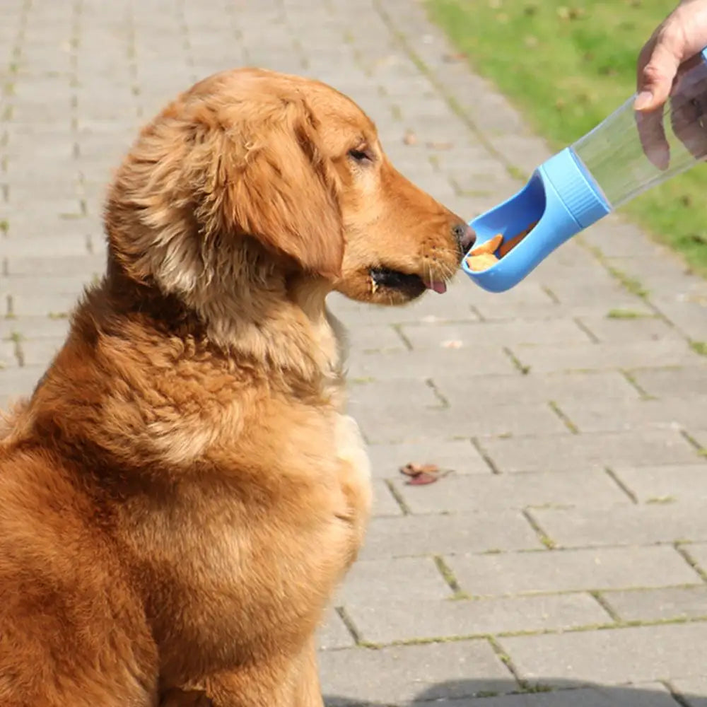 Botella Portátil para perros-Hidratación facil en Paseos y viajes.